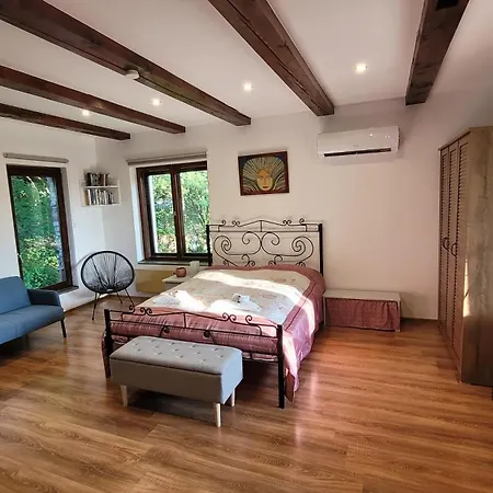 ágó Kedvence * Salgótarján