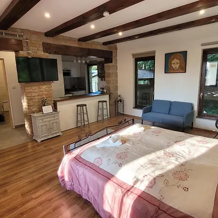 ágó Kedvence Salgótarján